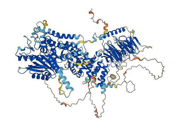 RPTOR 3D structure