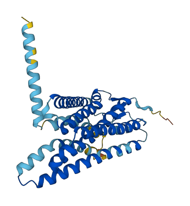 OR5AS1 3D structure