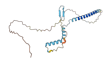 FAM177A1 3D structure