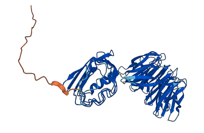 LGI4 3D structure