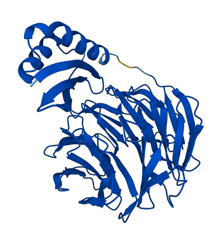 DAW1 3D structure