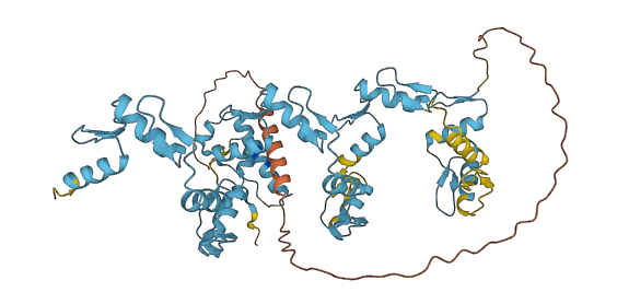 ZFP82 3D structure