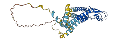 GJD3 3D structure