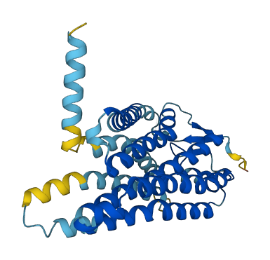 OR6V1 3D structure