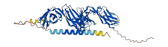 LILRA2 3D structure