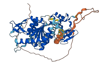 NAGS 3D structure