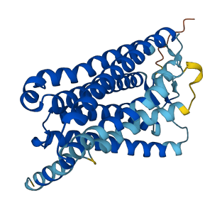 OR8H2 3D structure