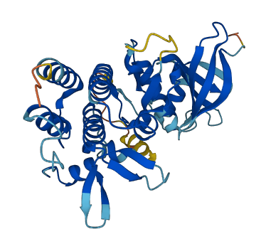 PDIK1L 3D structure