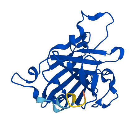 C4orf33 3D structure