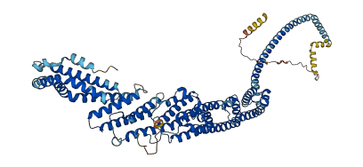 VPS52 3D structure