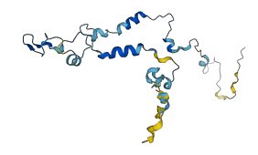 C1orf158 3D structure