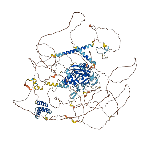 REXO1 3D structure