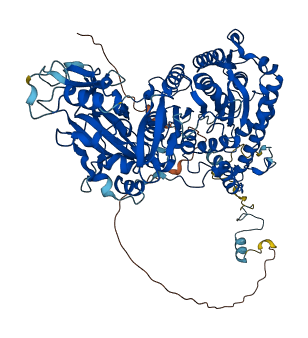 CMTR1 3D structure