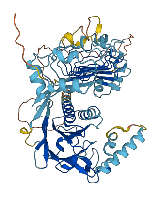 LRRC47 3D structure