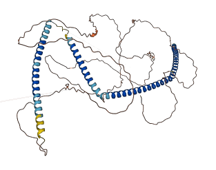 SIX6OS1 3D structure