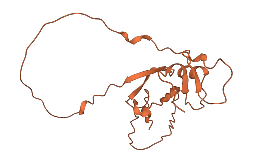 LINC00528 3D structure