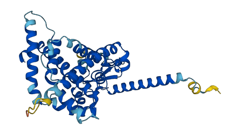 CYP4Z2P 3D structure