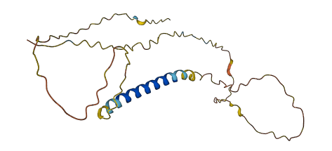 DYNAP 3D structure