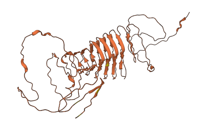 CRIPAK 3D structure