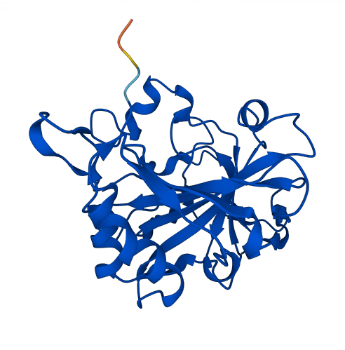 CA13 3D structure