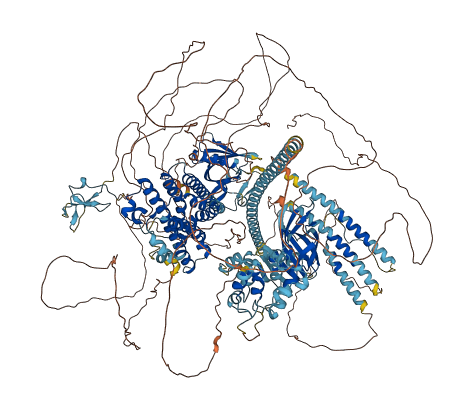 ARHGEF28 3D structure