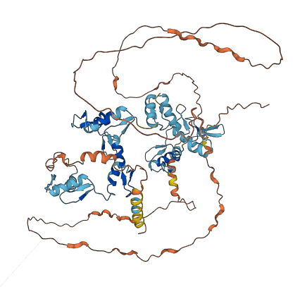 ZNF710 3D structure
