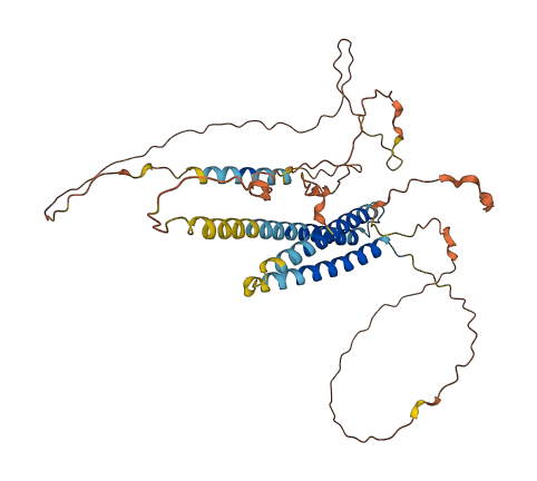 SYNE4 3D structure