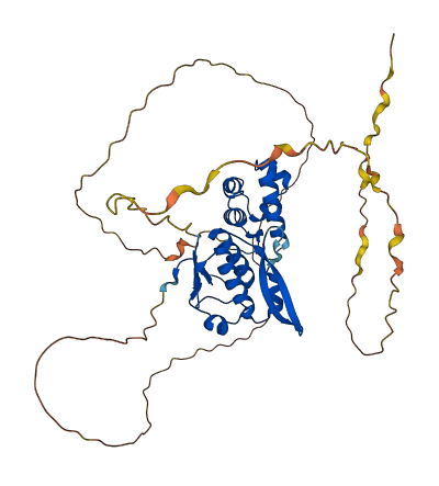 SCML4 3D structure