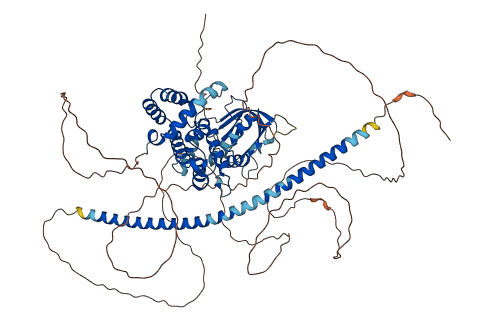 ARHGAP24 3D structure