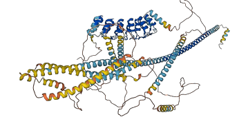 ANKRD35 3D structure