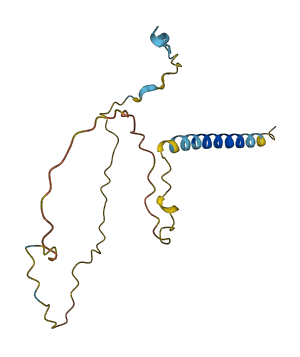 GAPT 3D structure