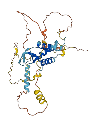 DEPDC4 3D structure
