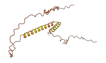 UMODL1-AS1 3D structure