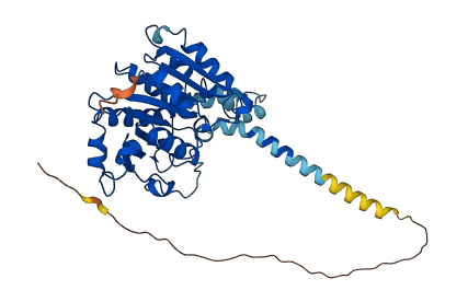 ABHD12 3D structure