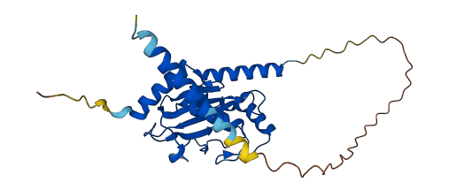 UBE2J2 3D structure