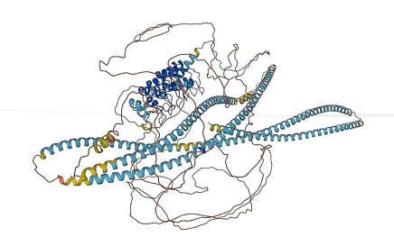 ANKRD36B 3D structure