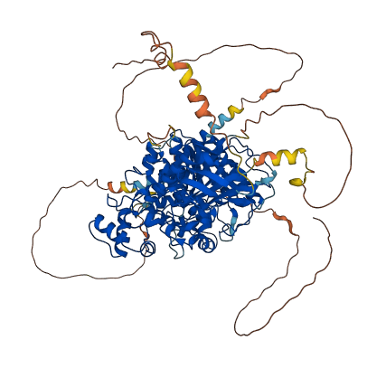 NLGN1 3D structure