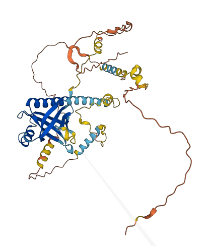 FAM43A 3D structure