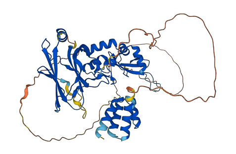 PIAS4 3D structure