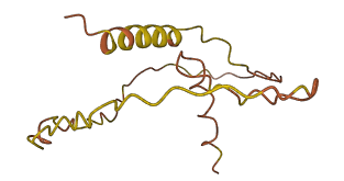 EXOC3-AS1 3D structure
