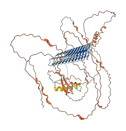 MUC20 3D structure