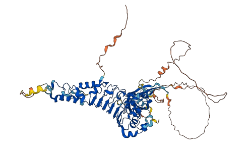 LRRC43 3D structure
