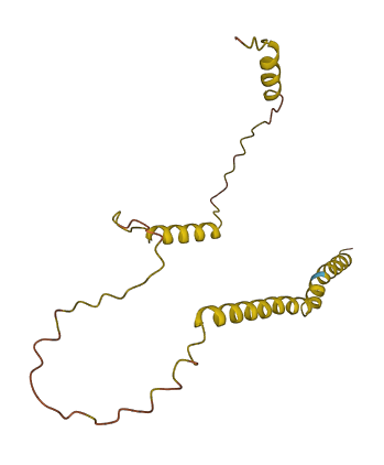 C10orf111 3D structure
