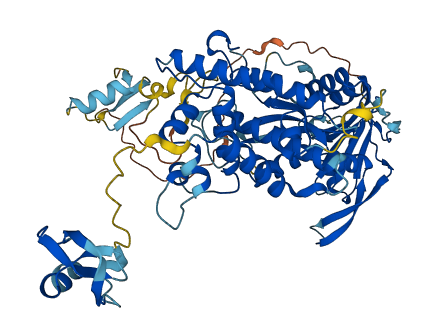 PGBD3 3D structure