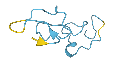 MT1M 3D structure