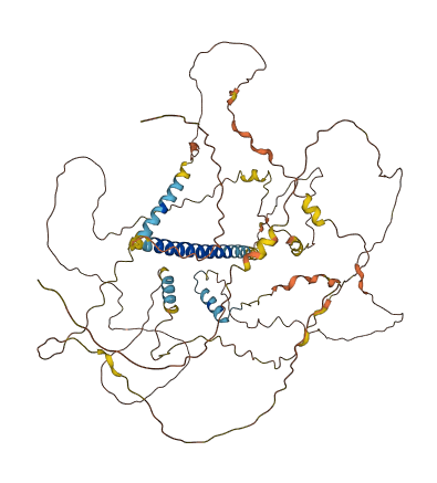 CBARP 3D structure