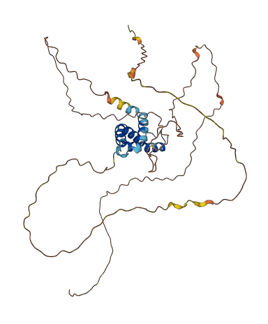 CIART 3D structure