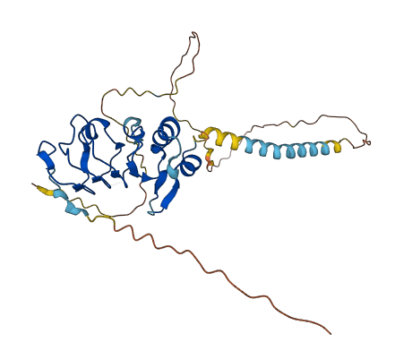 LRRC25 3D structure