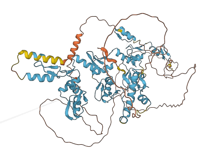 ZNF786 3D structure