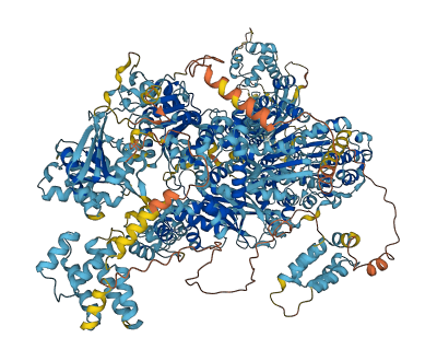 ASCC3 3D structure